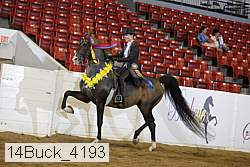 14buck_4193 proof