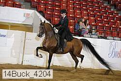 14buck_4204 proof
