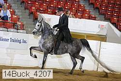 14buck_4207 proof