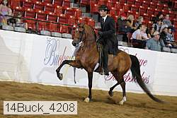 14buck_4208 proof