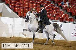 14buck_4210 proof