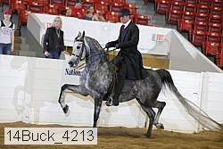 14buck_4213 proof