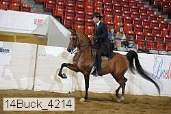 14buck_4214 proof