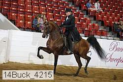 14buck_4215 proof