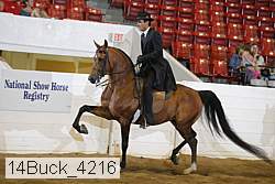 14buck_4216 proof