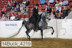 14buck_4219 proof