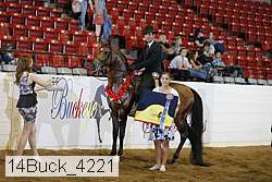14buck_4221 proof