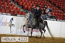 14buck_4223 proof