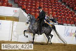 14buck_4224 proof