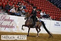 14buck_4227 proof