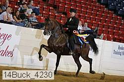 14buck_4230 proof