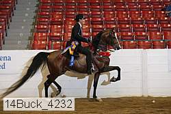 14buck_4232 proof