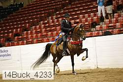14buck_4233 proof