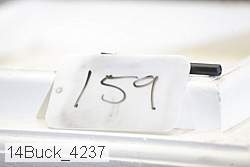 14buck_4237 proof
