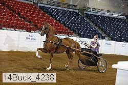 14buck_4238 proof