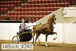 14buck_4240 proof