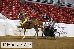 14buck_4242 proof