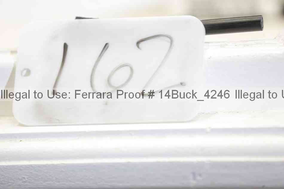 Proof 14buck_4246
