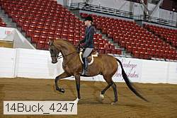 14buck_4247 proof