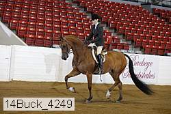 14buck_4249 proof