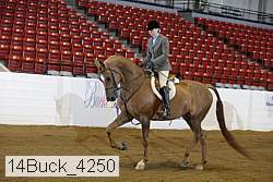 14buck_4250 proof