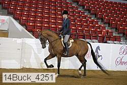 14buck_4251 proof