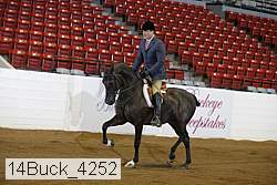 14buck_4252 proof