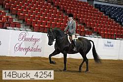 14buck_4254 proof