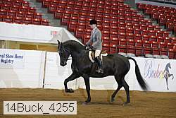 14buck_4255 proof