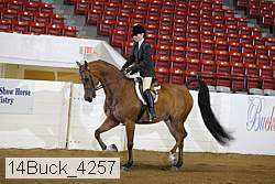 14buck_4257 proof