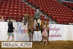 14buck_4258 proof