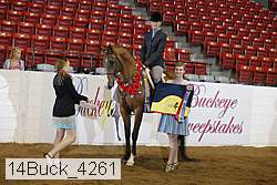 14buck_4261 proof