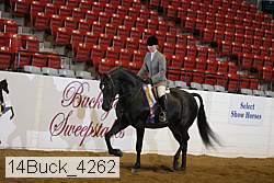 14buck_4262 proof
