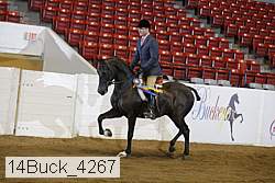 14buck_4267 proof