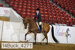 14buck_4271 proof