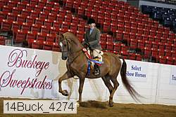 14buck_4274 proof