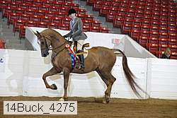 14buck_4275 proof