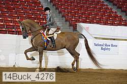 14buck_4276 proof