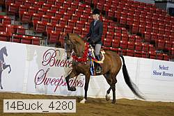 14buck_4280 proof