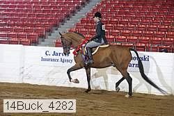 14buck_4282 proof
