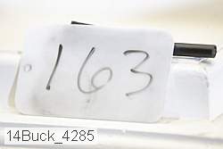 14buck_4285 proof