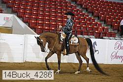 14buck_4286 proof