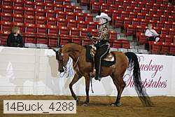 14buck_4288 proof