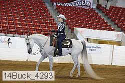 14buck_4293 proof