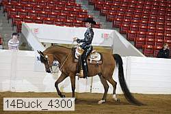 14buck_4300 proof