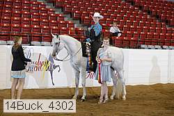 14buck_4302 proof