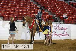 14buck_4310 proof