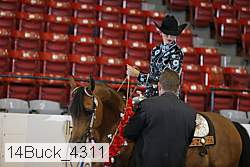 14buck_4311 proof