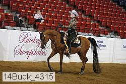 14buck_4315 proof