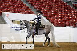14buck_4318 proof